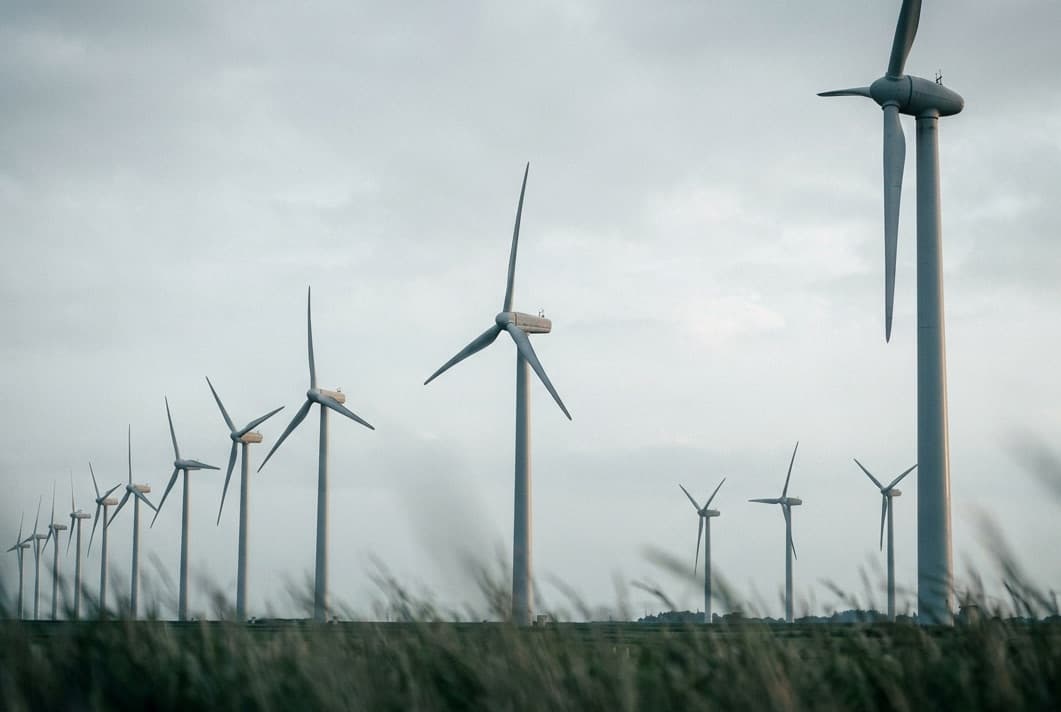 Solar panel array with wind turbines behind